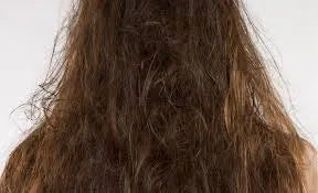 Dull / Dry Hair